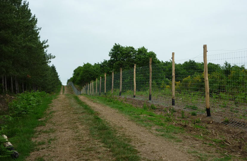 Tim Bennett Stock Fencing