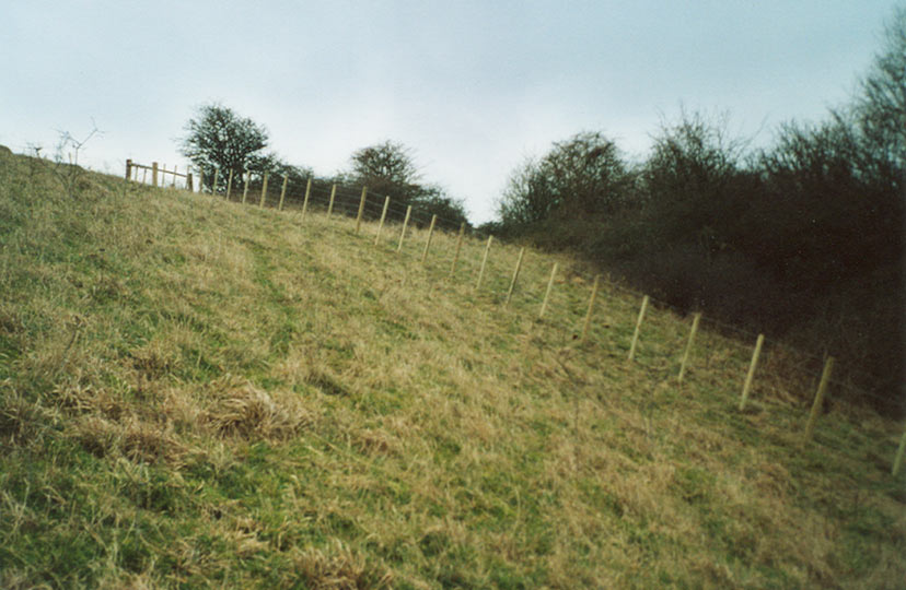 Tim Bennett Stock Fencing
