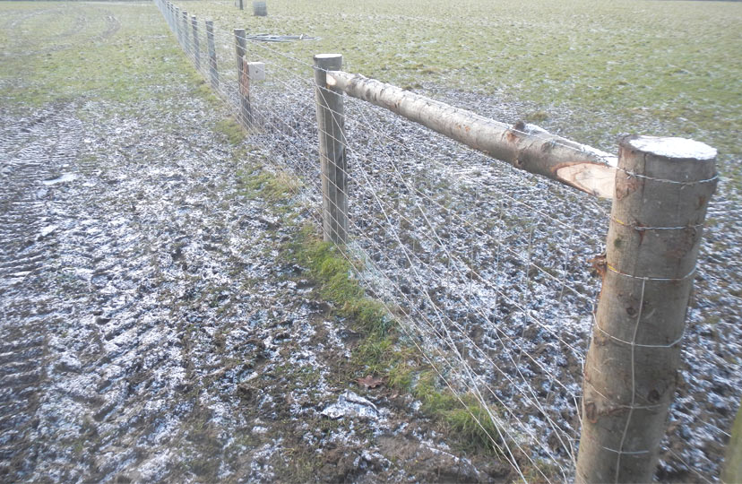 Tim Bennett Stock Fencing