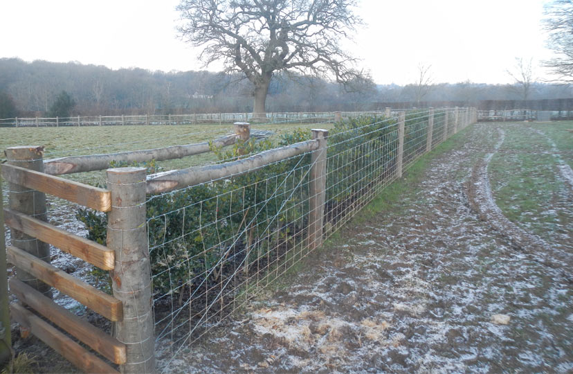 Tim Bennett Stock Fencing