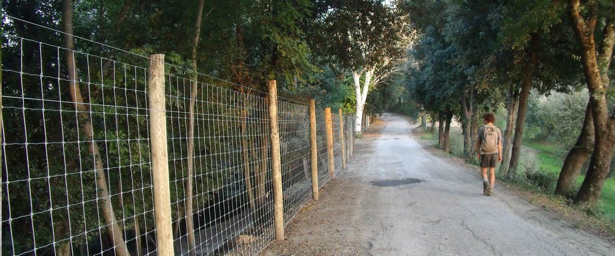 Tim Bennett Farm Fencing