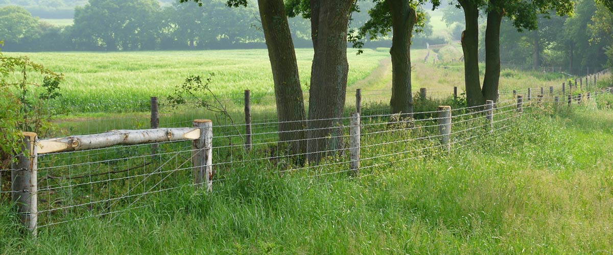 Tim Bennett Farm Fencing