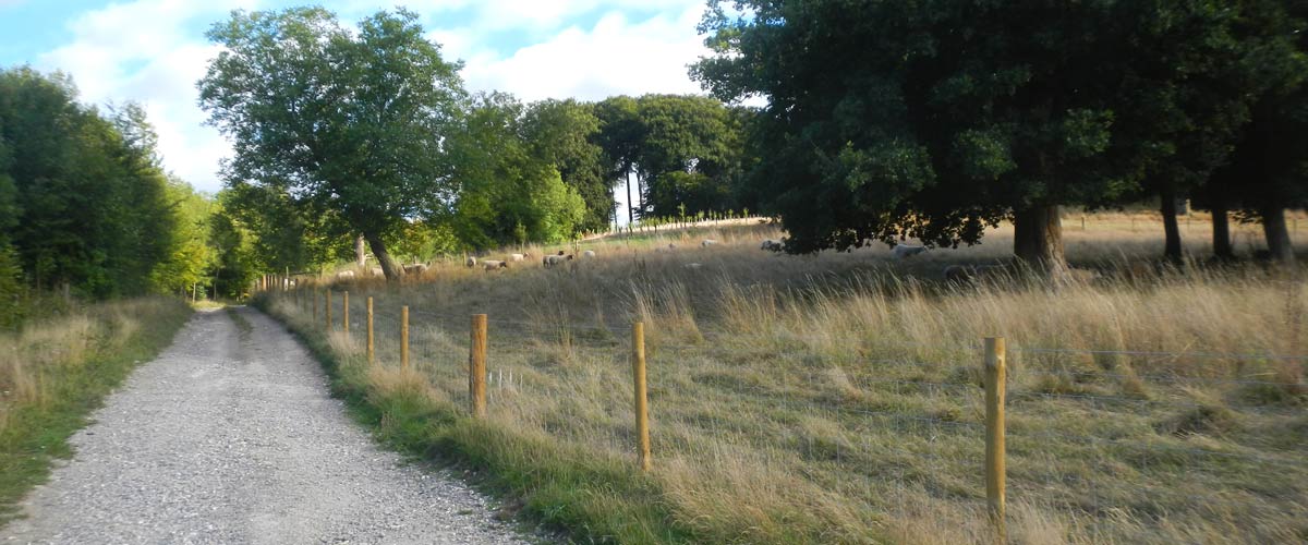 Tim Bennett Farm Fencing